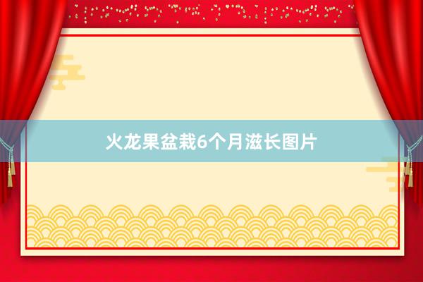 火龙果盆栽6个月滋长图片